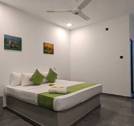 Deluxe Double Room Green